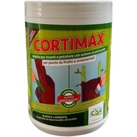 CORTIMAX MASTICE PER INNESTI E POTATURE KG 1